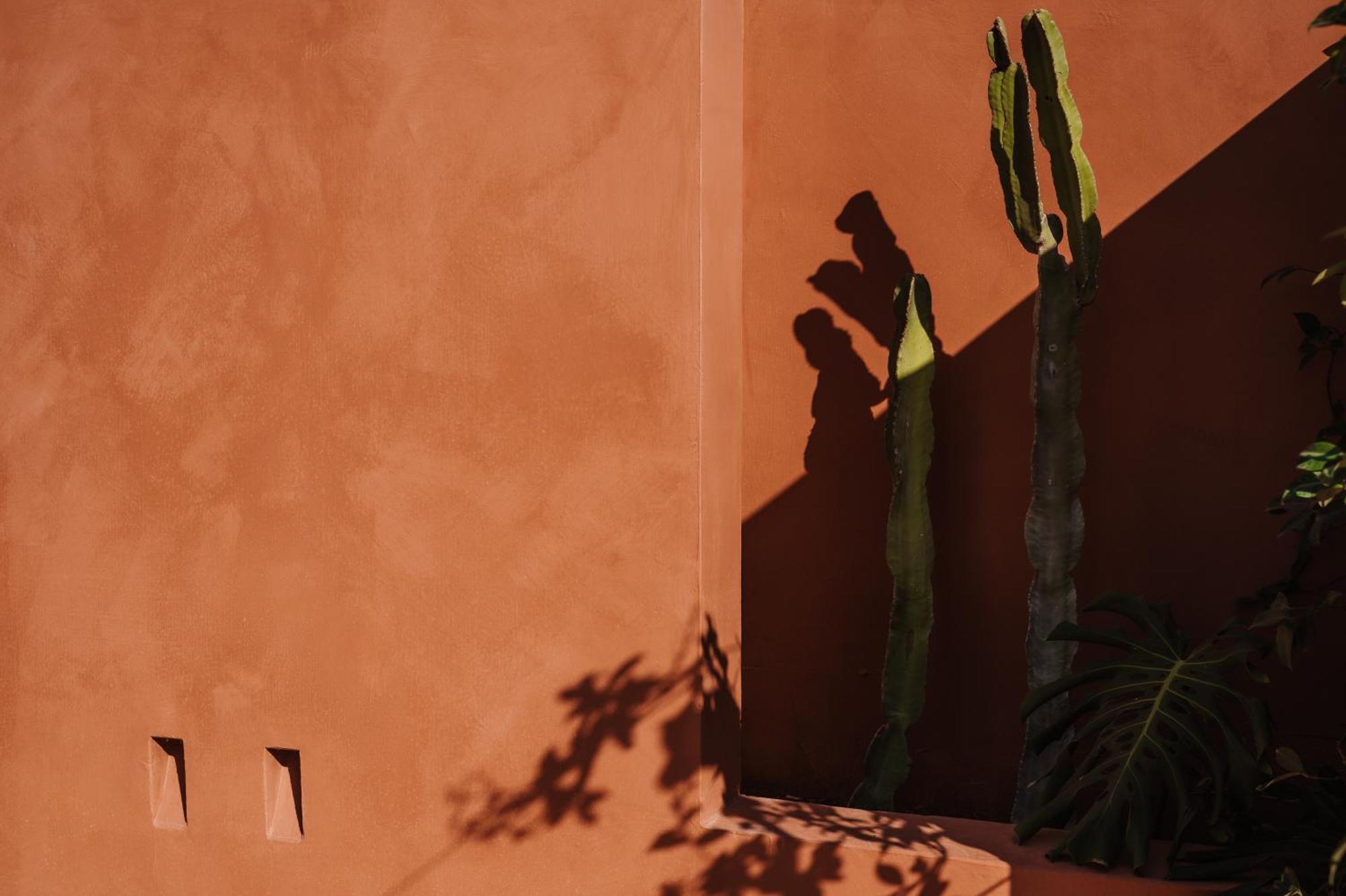 Ozio - Il Trullo Rosso Bed & Breakfast Fasano Exterior photo